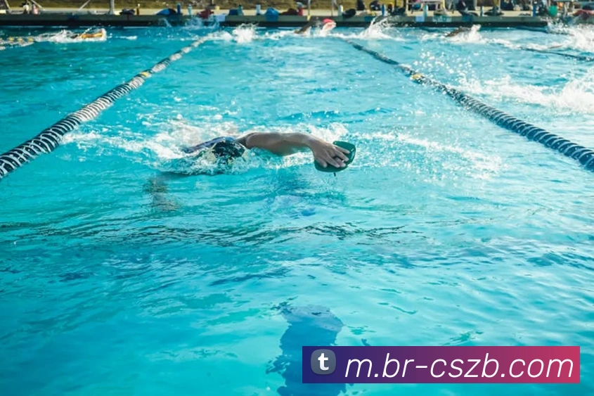 彩神争霸平台生态图