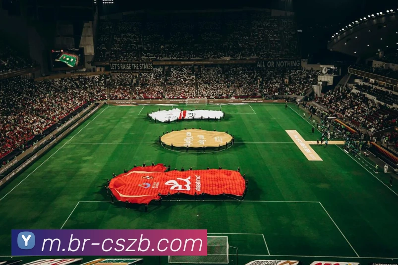 彩神争霸APP 封面图